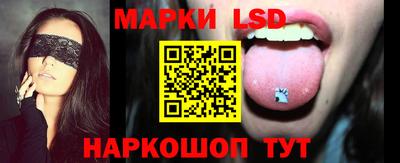 индика Камышлов