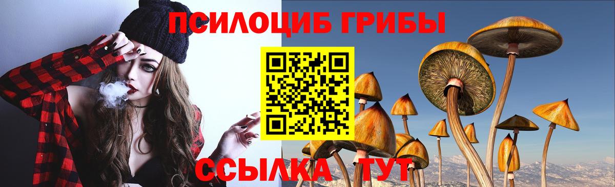 Псилоцибиновые грибы GOLDEN TEACHER  Вход с VPN  Муравленко 